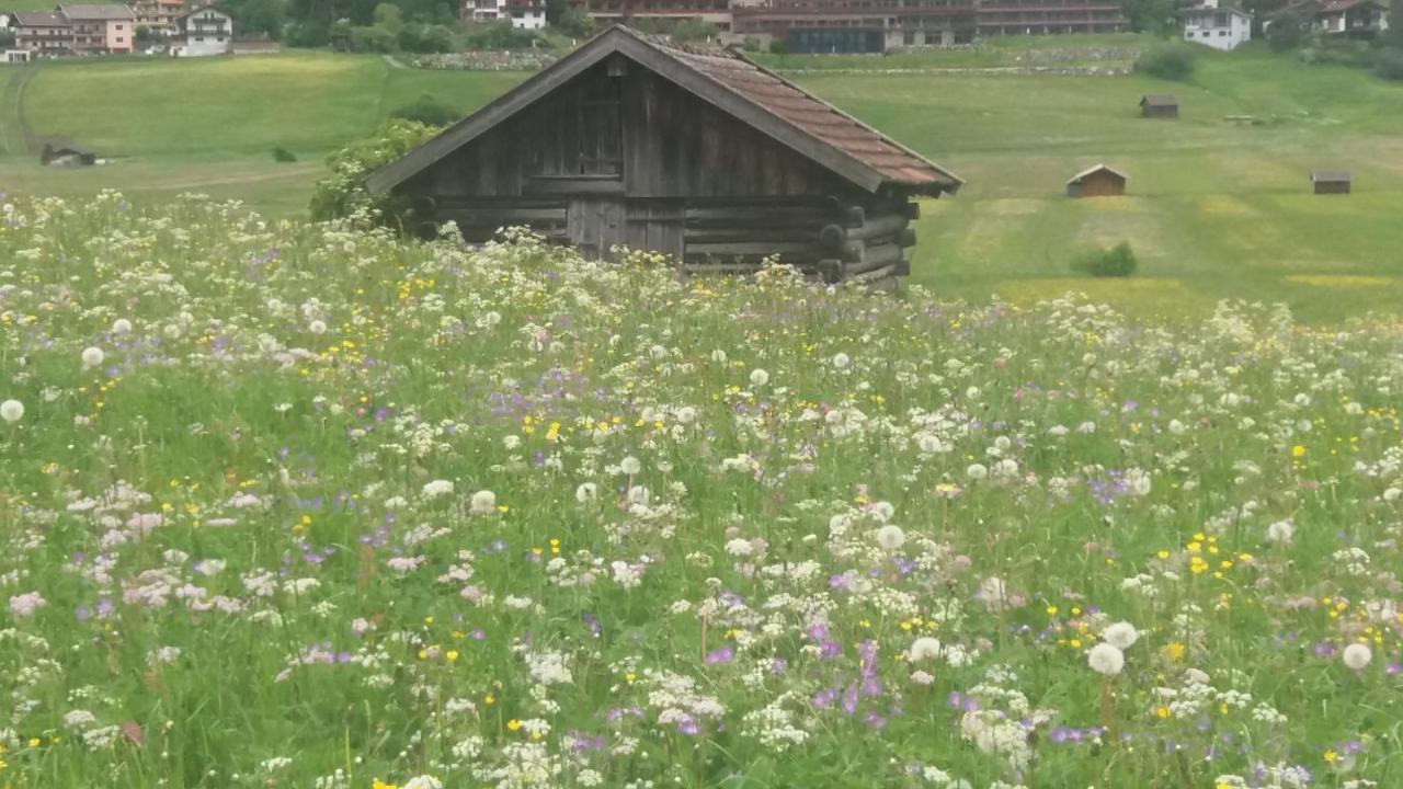 Tyrol Appartements Эрвальд Экстерьер фото